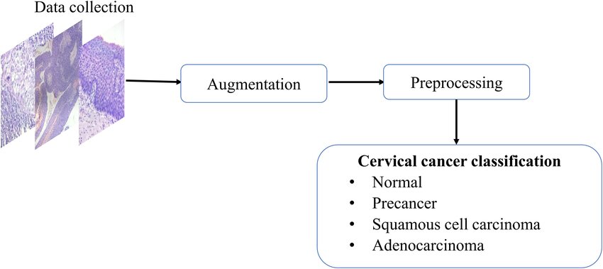 Cervical Cancer Image Classification Model